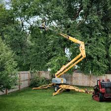 Lawn Maintenance Plans in Pearl River, NY